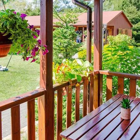 Letniskowe Forest Nad Morzem * Darłowo